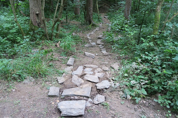 Ein Waldweg mit Steinen gesäumt.