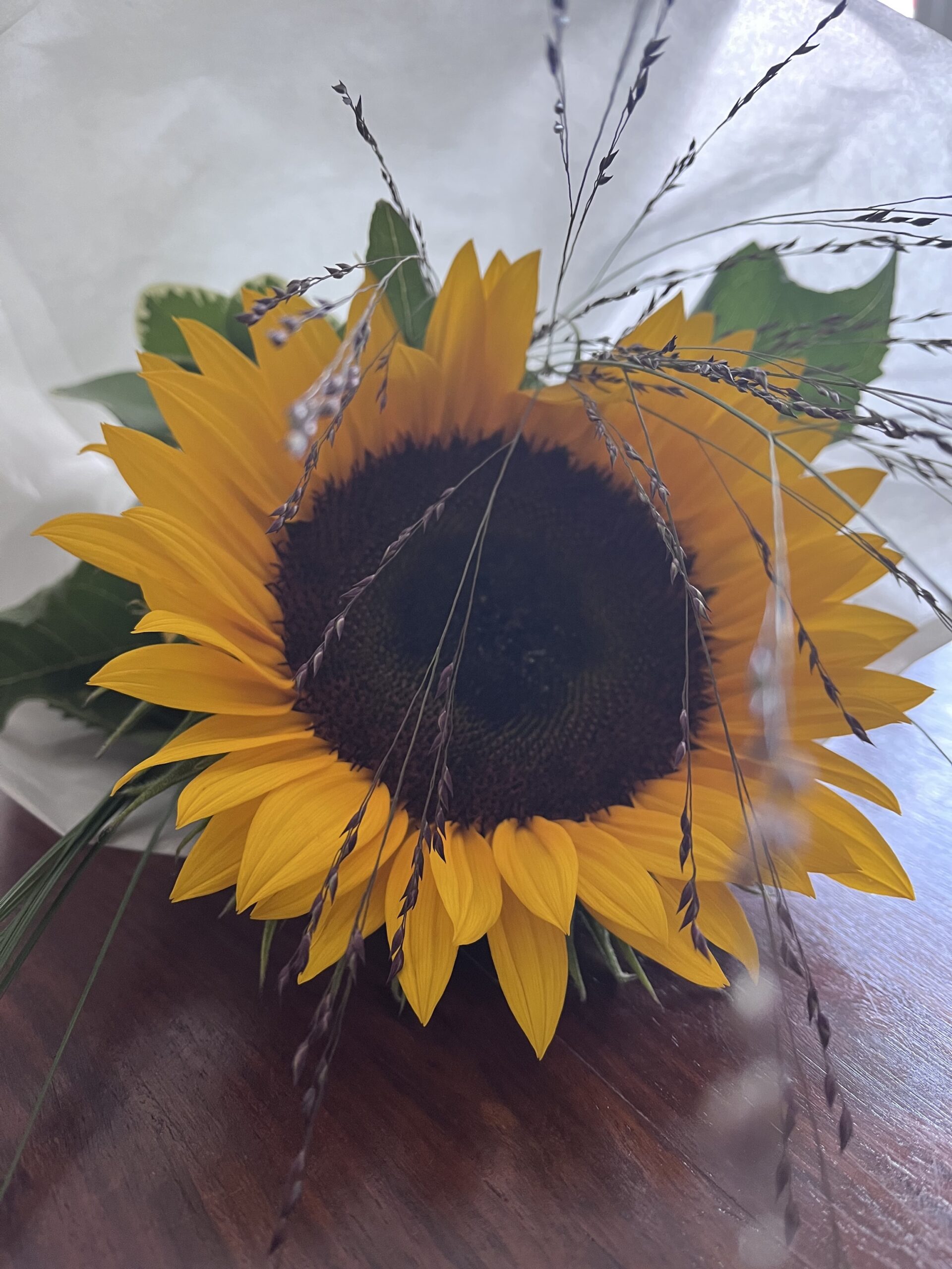 Das Bild zeigt eine gelbe Sonnenblume. Sie erstrahlt vor einer weißen Manchette, Gräser unterstützen ihre Natürlichkeit